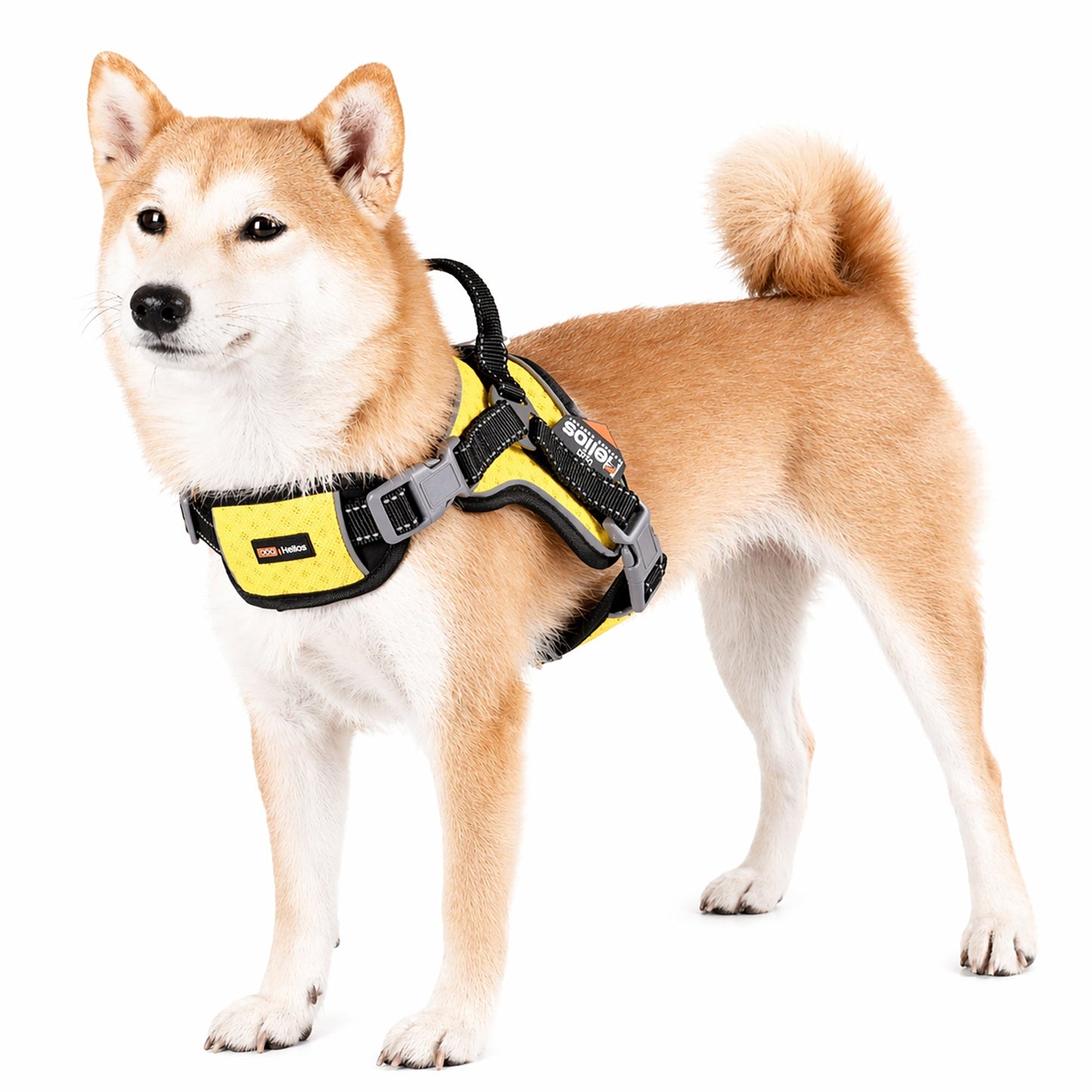 Dog Helios ® 'Scorpion' Sporty High-Performance Free-Range Dog Harness