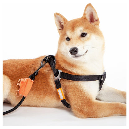 Touchdog ® 'Macaron' 2-in-1 Durable Nylon Dog Harness and Leash