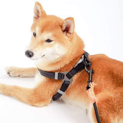 Touchdog ® 'Macaron' 2-in-1 Durable Nylon Dog Harness and Leash
