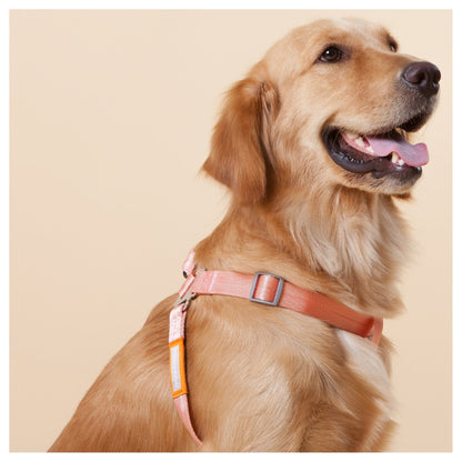 Touchdog ® 'Macaron' 2-in-1 Durable Nylon Dog Harness and Leash