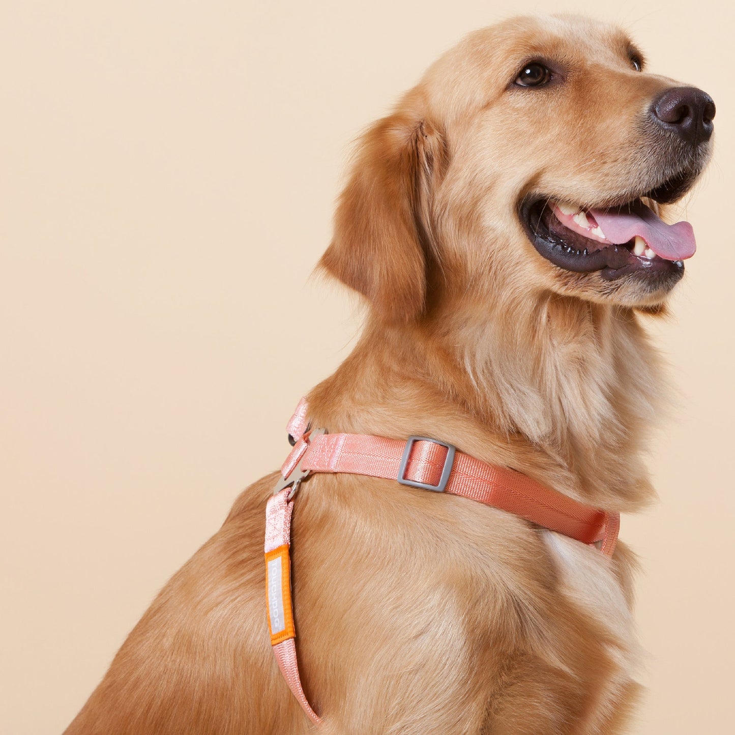 Touchdog ® 'Macaron' 2-in-1 Durable Nylon Dog Harness and Leash