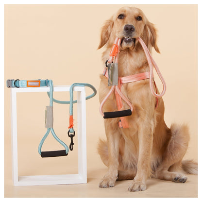Touchdog ® 'Macaron' 2-in-1 Durable Nylon Dog Harness and Leash