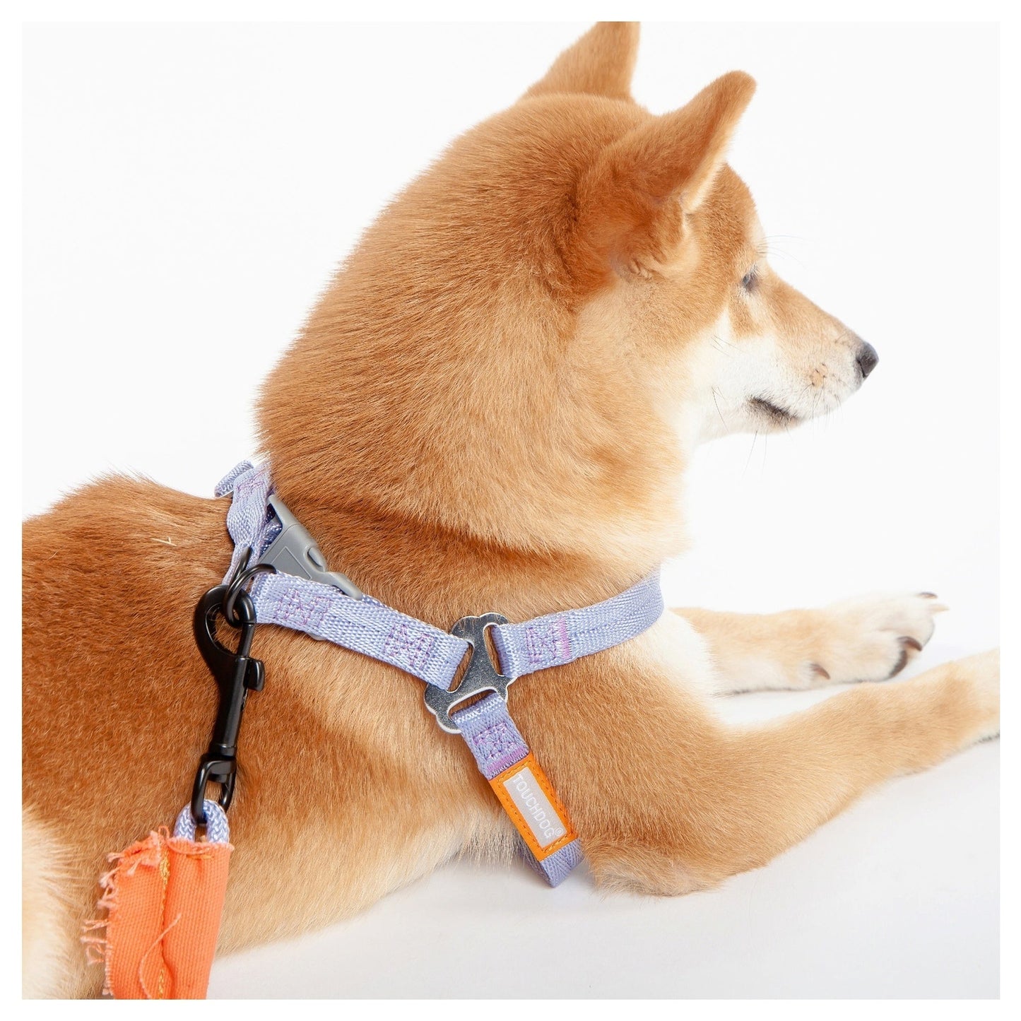 Touchdog ® 'Macaron' 2-in-1 Durable Nylon Dog Harness and Leash