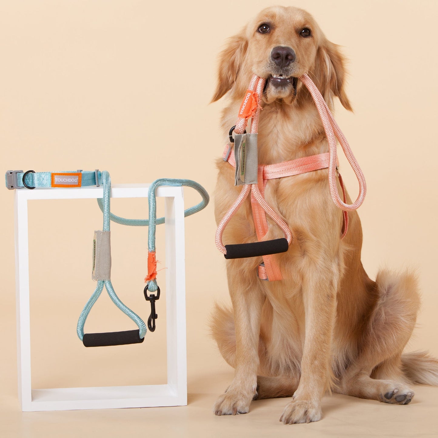 Touchdog ® 'Macaron' 2-in-1 Durable Nylon Dog Harness and Leash