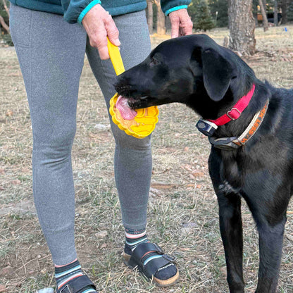 eStick Hand-Held Dog Enrichment Target Training Toy - Interactive Lick Stick | USA Made