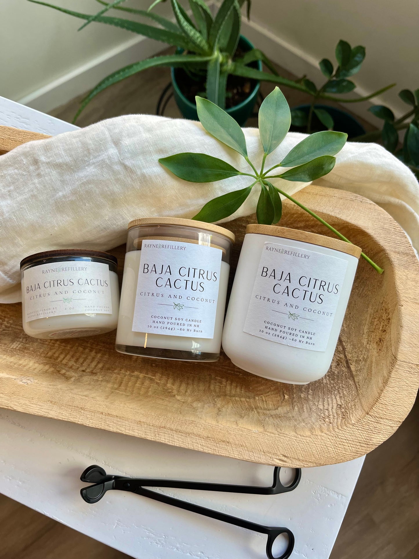 Karner – Luxury Handmade Coconut Soy Candle | New Hampshire