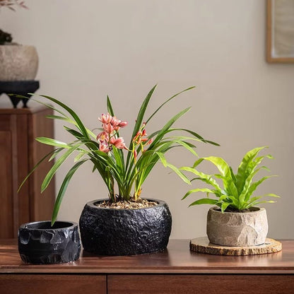 Mesa Cement Pot Planter