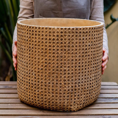 Rattan Texture Cement Planter