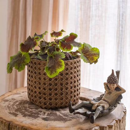 Rattan Texture Cement Planter