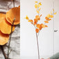 Round Leaf Eucalyptus Stem 44" Tall