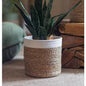 Woven Basket with Colored Rim