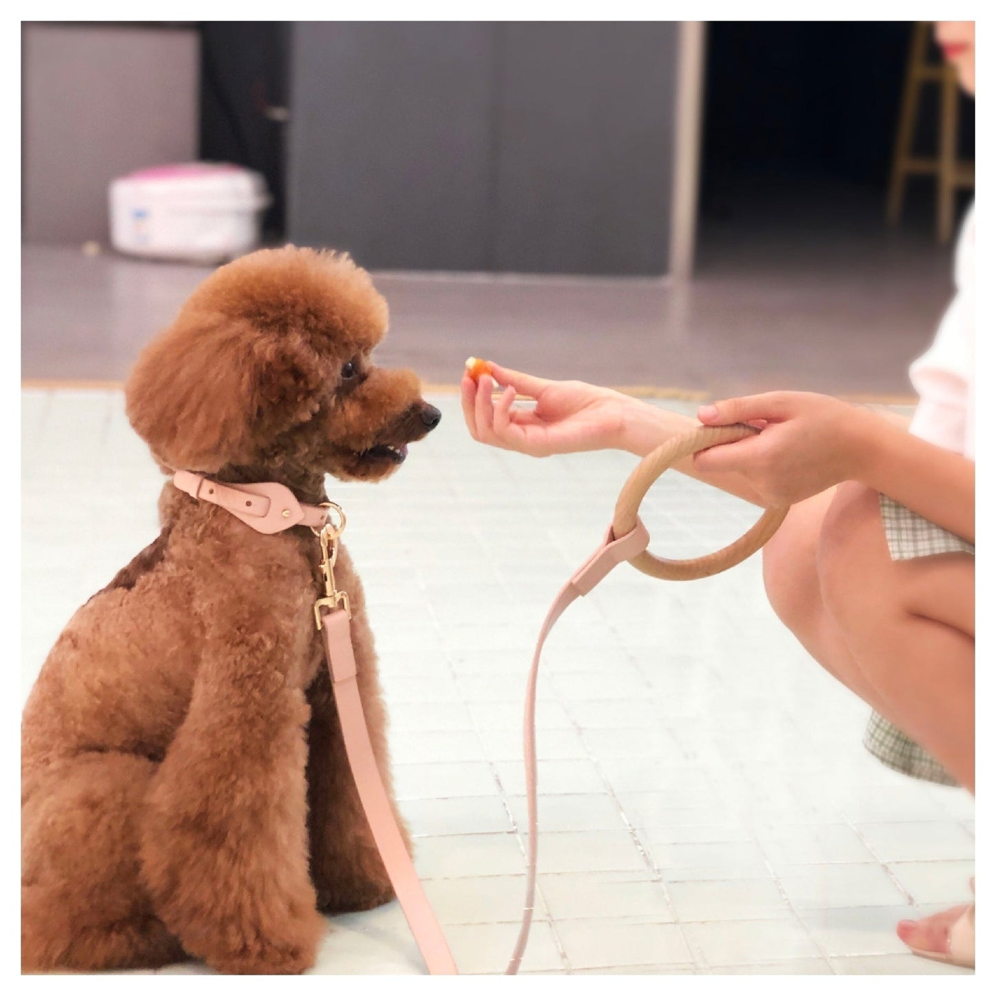Pet Life ® 'Ever-Craft' Boutique Series Beechwood and Leather Designer Dog Leash