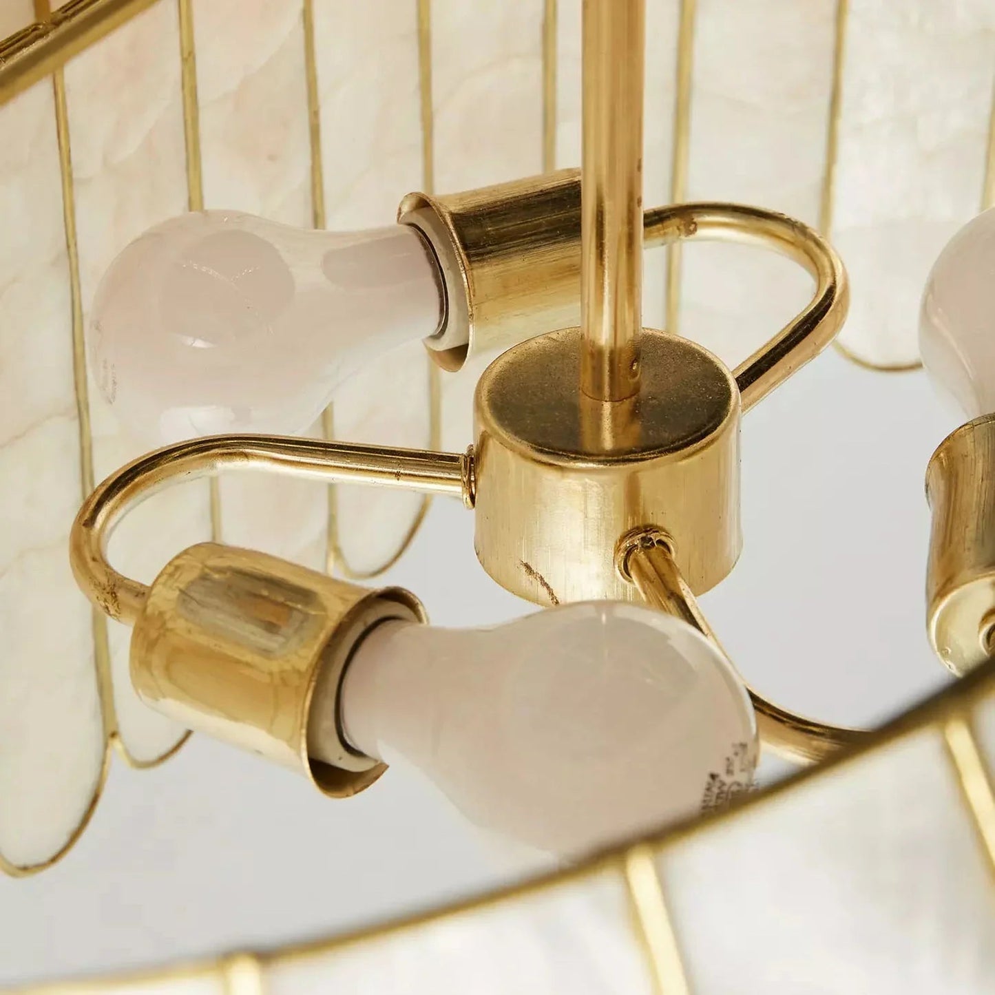 Light Luxury Shel Chandelier