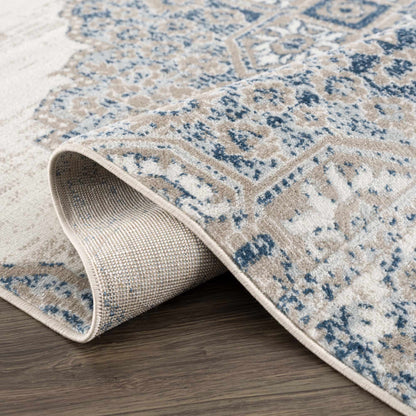 Amir Area Rug
