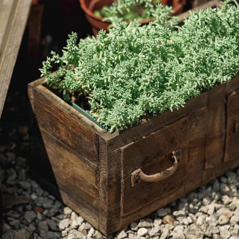 Farmhouse Wooden Box for Succulents or Flowers