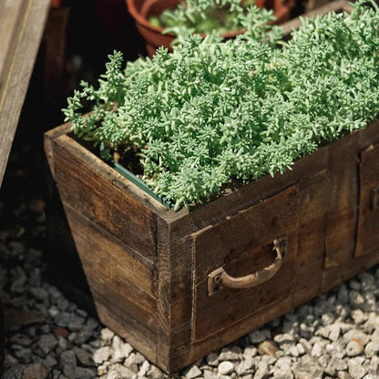 Farmhouse Wooden Box for Succulents or Flowers
