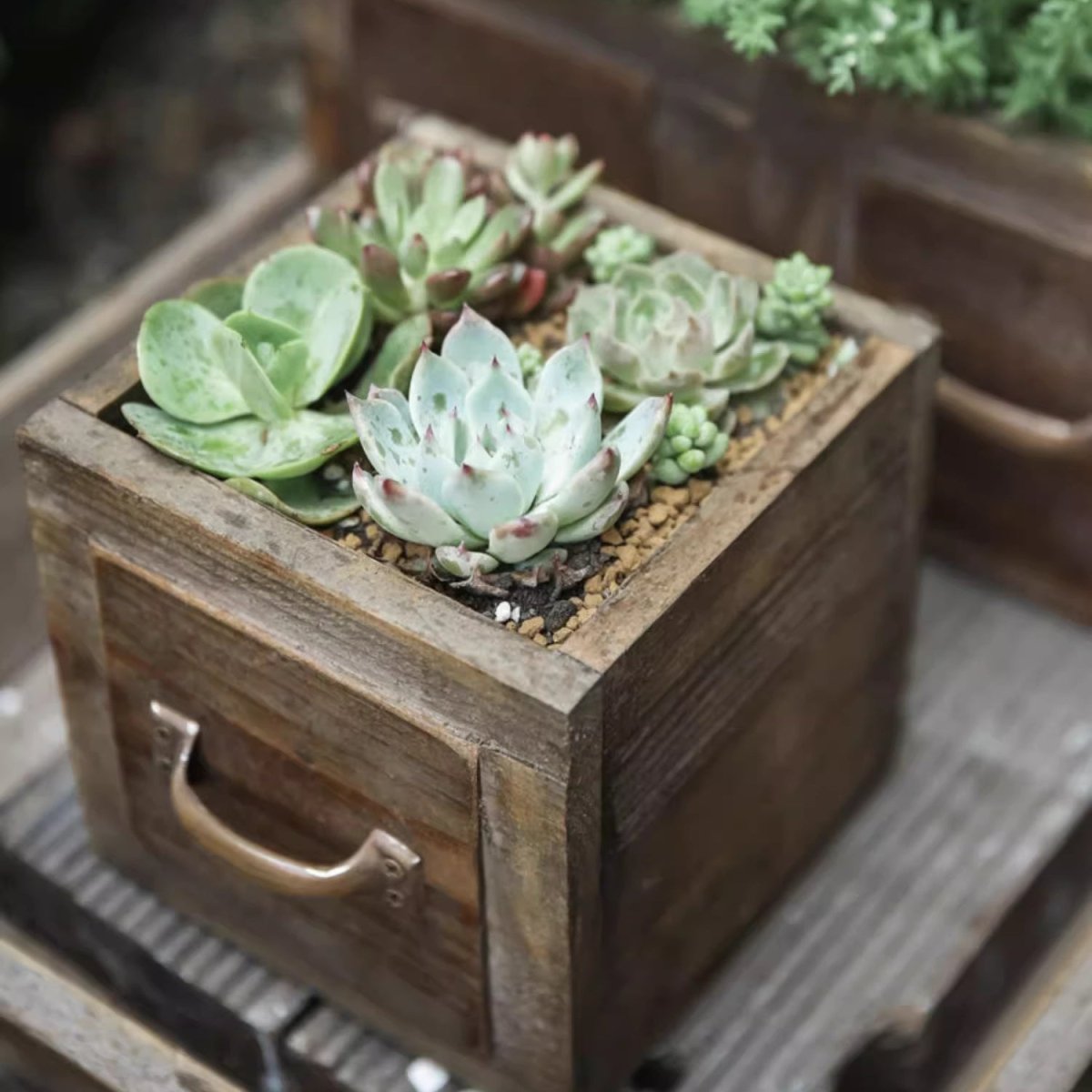 Farmhouse Wooden Box for Succulents or Flowers