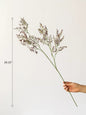 Wild Lavender Stem 29.1" Tall