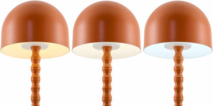 Magdagachi Orange Table Lamp