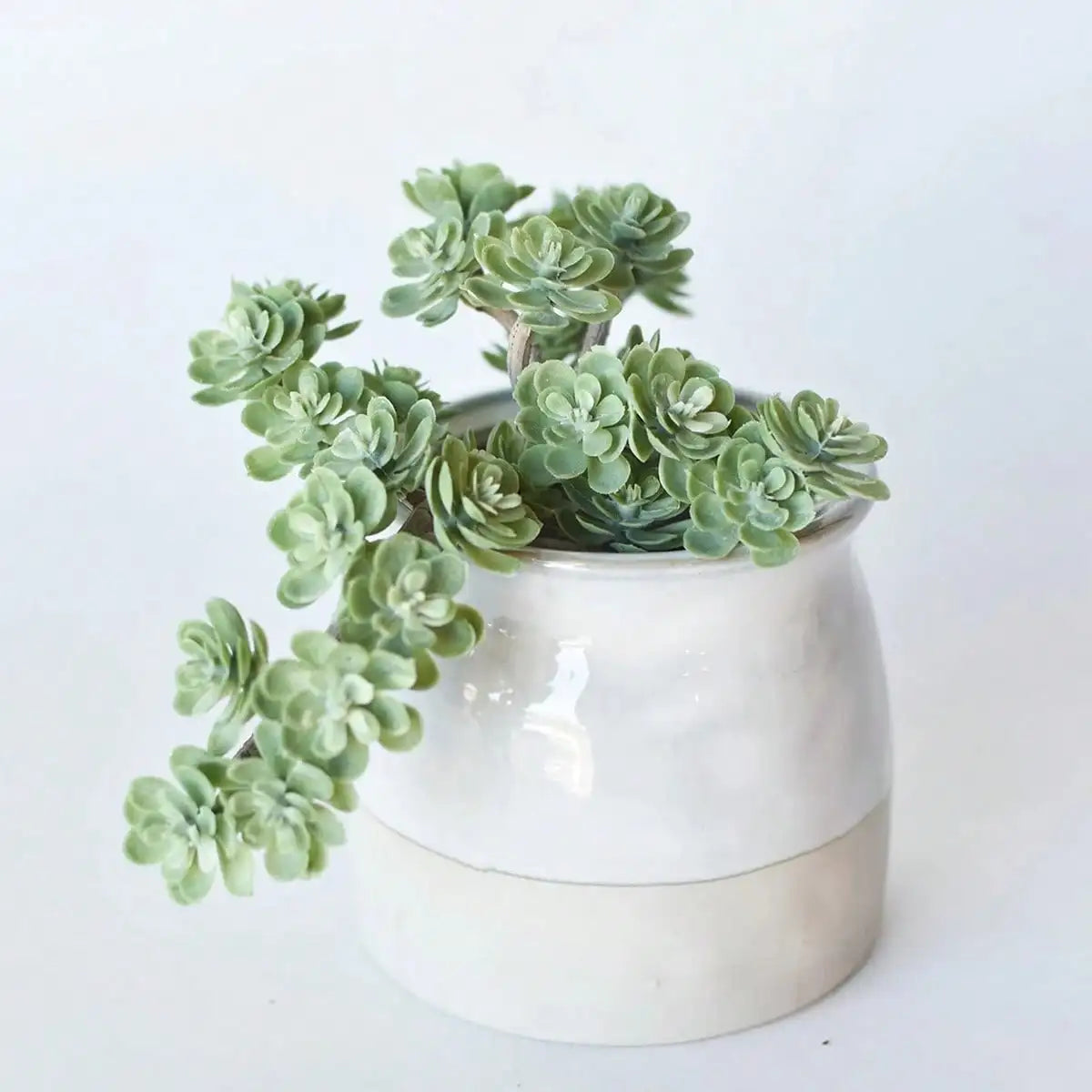 Faux Green Sedum Succulent Pick Plastic Aritificial Encrinite Succulent Spring Plants Home Decor Office Plant Landscaping