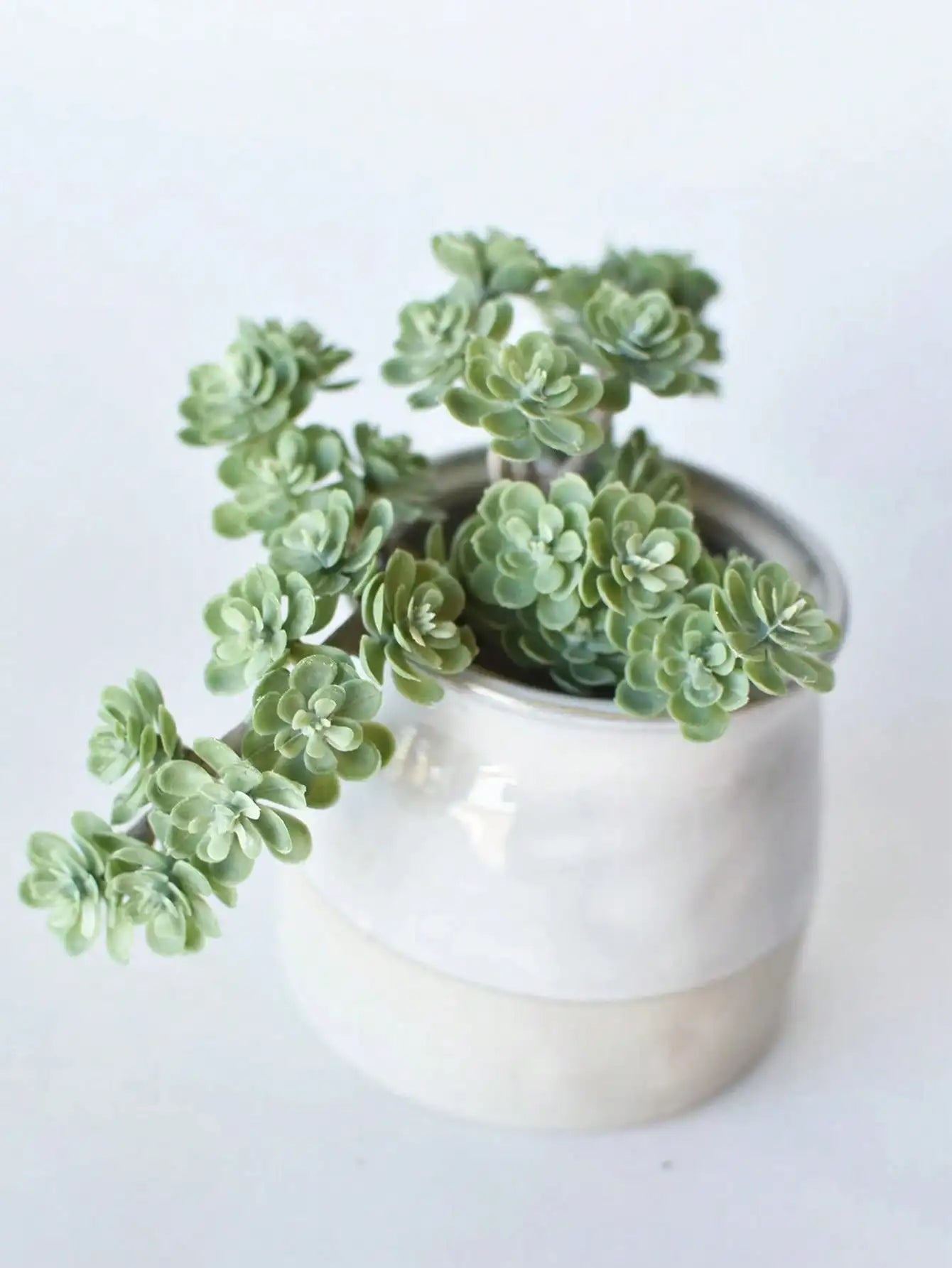 Faux Green Sedum Succulent Pick Plastic Aritificial Encrinite Succulent Spring Plants Home Decor Office Plant Landscaping