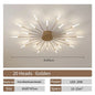 Living Room Light LED Ceiling Lamp Modern Indoor Lighting Acrylic Nordic Creative Fan-shaped Bedroom Fixture Home Decor Kid Room