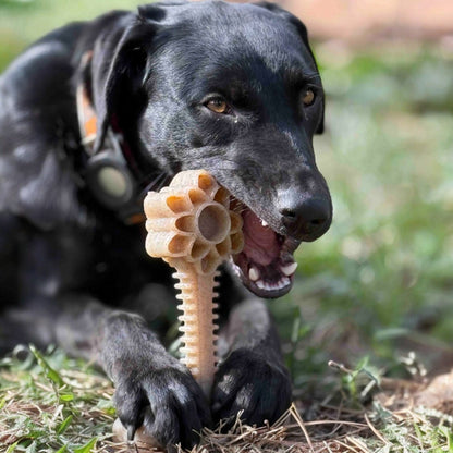 Honey Bone Dental Flower Tower - Indestructible Nylon Dog Chew Toy XL | USA