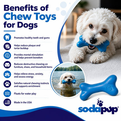 PUP-X Rubber Bone Dog Toy - Durable, Floats, Chew Toy for Large Dogs | USA