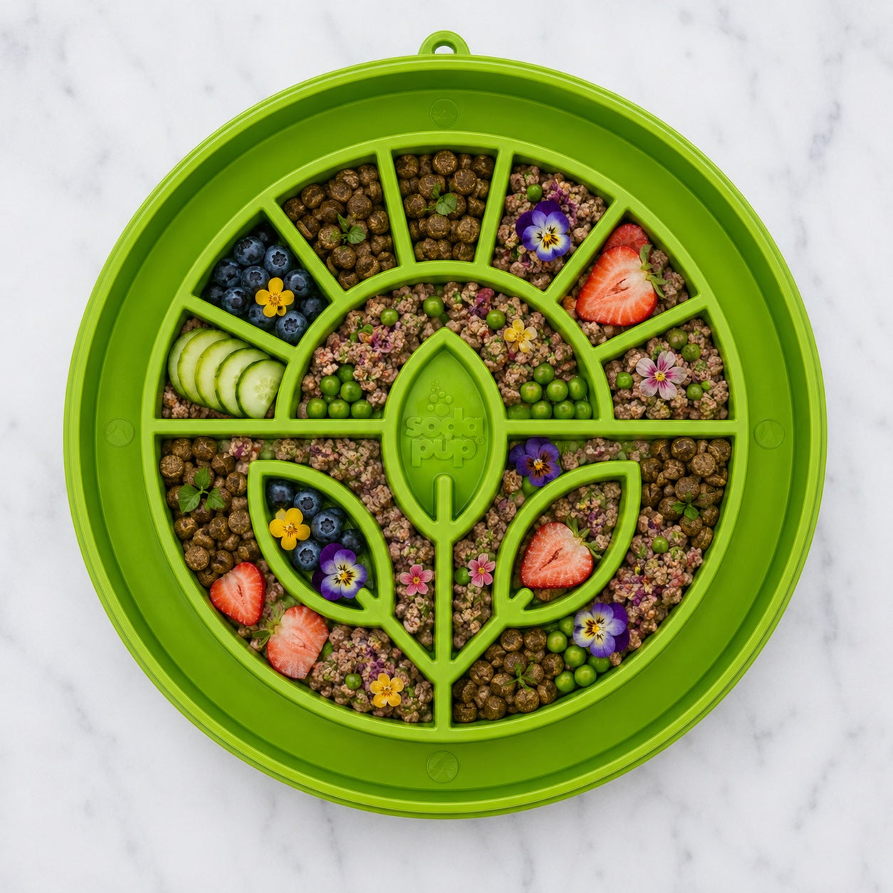 Garden Design eTray - Shallow Slow Feeder Dog Bowl for Enrichment | USA