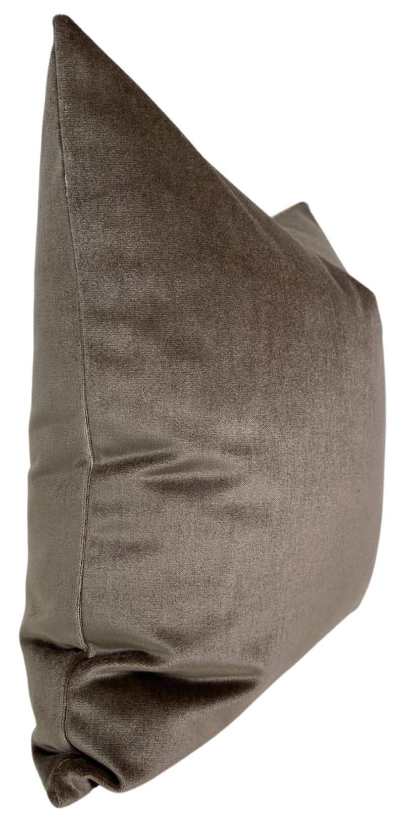 Mink Velvet Velvet Pillow Cover