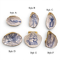 Blue & White Sea Life Shell Trinket Dish
