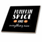 3dRose Stamp City - Typography - Pumpkin Spice and Everything Nice with Two Pumpkins. White on Black. - Tiles (ct_322414)