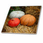 3dRose Pumpkins of White, red, Beige Colors on a Straw. Thanksgiving Theme - Tiles (ct_327913)