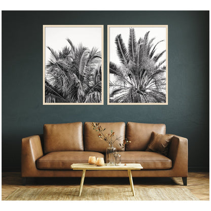 Palm No. 13 & 15 2 Piece Framed Wall Art Print Set by Alicia Bock