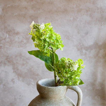 Green Cone Hydrangea Stem