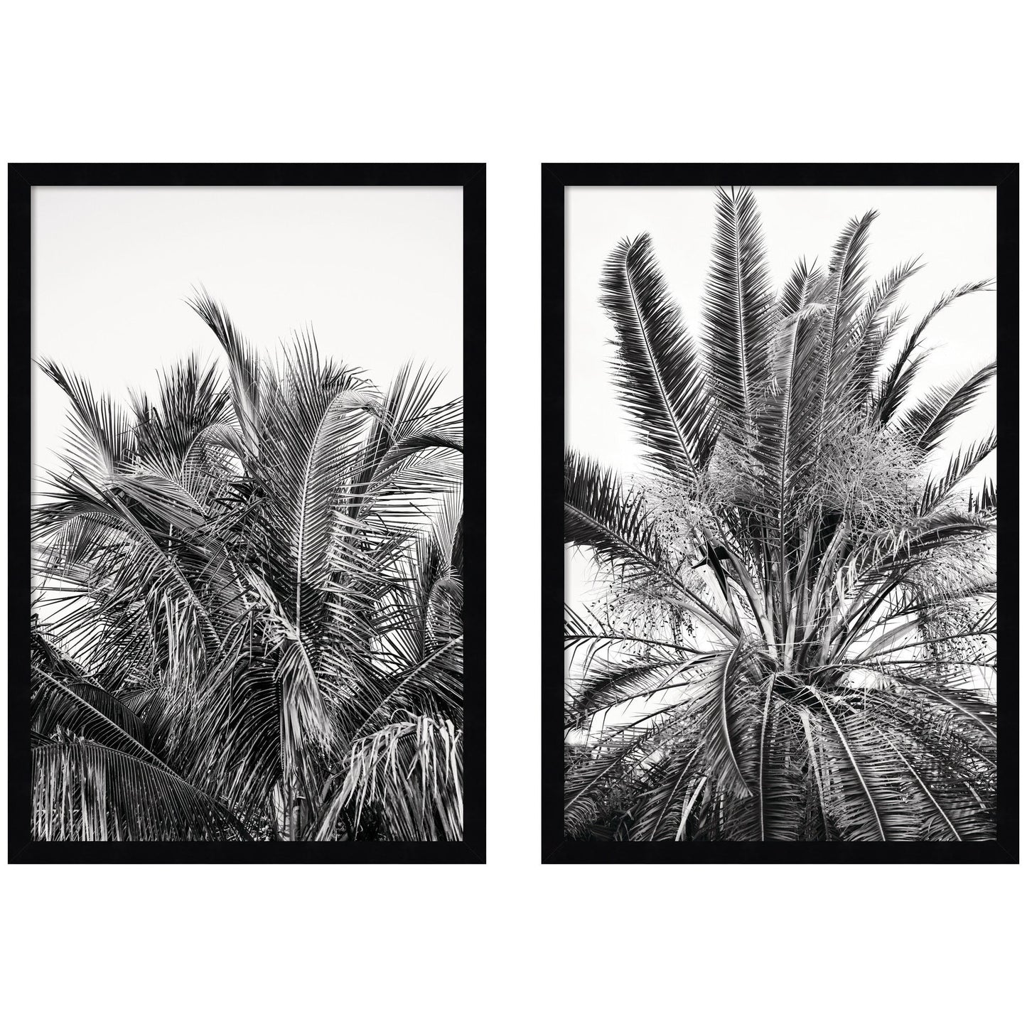 Palm No. 13 & 15 2 Piece Framed Wall Art Print Set by Alicia Bock