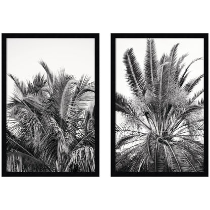 Palm No. 13 & 15 2 Piece Framed Wall Art Print Set by Alicia Bock