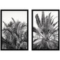 Palm No. 13 & 15 2 Piece Framed Wall Art Print Set by Alicia Bock