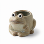 Ceramic Frog Mini Planter