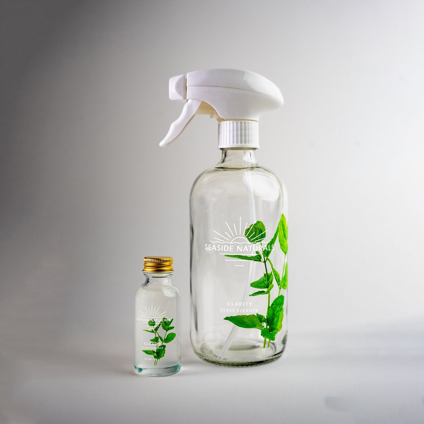 Clarity Glass Cleaner Kit