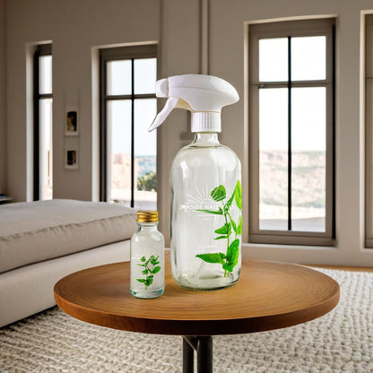Clarity Glass Cleaner Kit