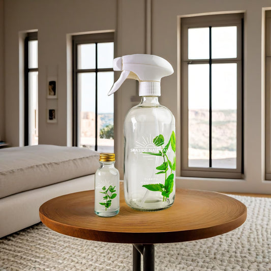 Clarity Glass Cleaner Kit