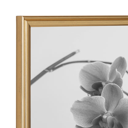 Adlynn Photo Frame Set