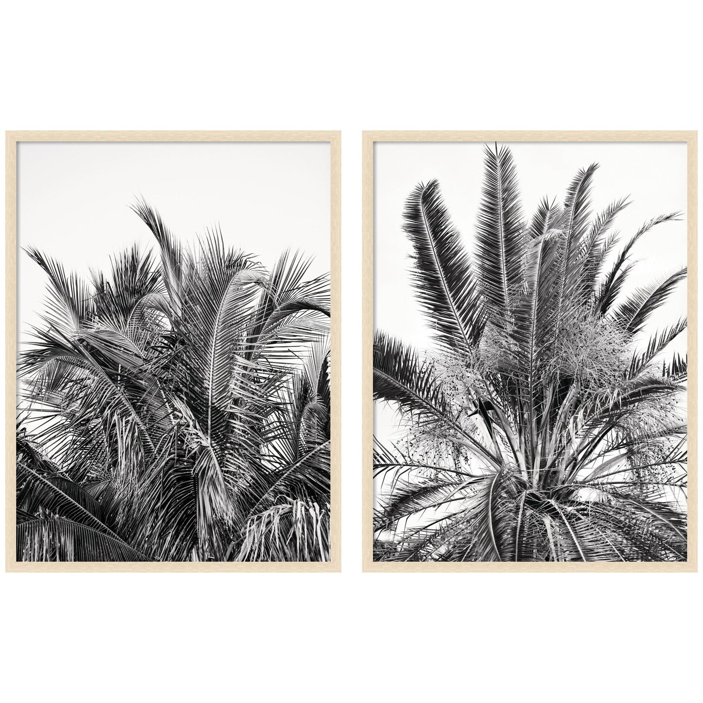 Palm No. 13 & 15 2 Piece Framed Wall Art Print Set by Alicia Bock