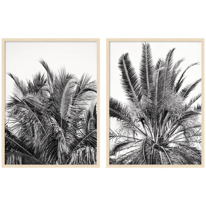 Palm No. 13 & 15 2 Piece Framed Wall Art Print Set by Alicia Bock