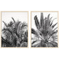 Palm No. 13 & 15 2 Piece Framed Wall Art Print Set by Alicia Bock