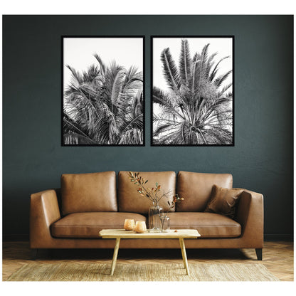 Palm No. 13 & 15 2 Piece Framed Wall Art Print Set by Alicia Bock
