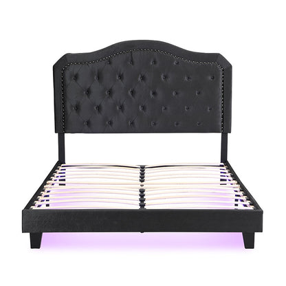 Queen Upholstered Bed Button Tufted with Curve Design