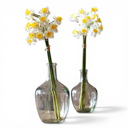 Sunshine Narcissus Flower Bunch