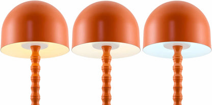 Magdagachi Orange Table Lamp